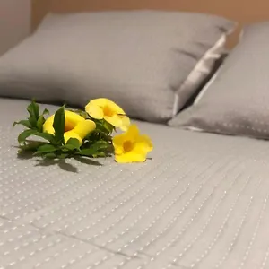 https://casa-aak.allrivieramayahotels.com